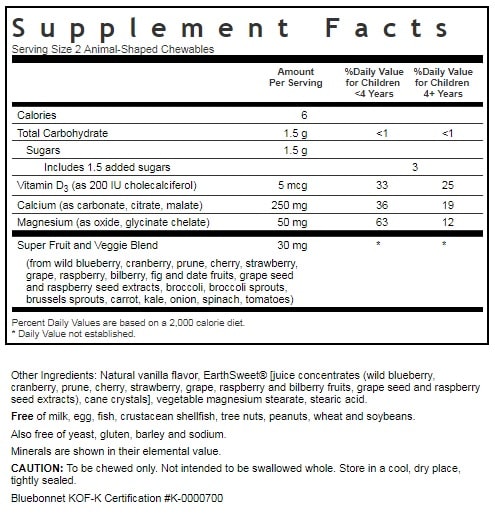 BLUEBONNET NUTRITION SUPER EARTH RAINFOREST ANIMALZ CALCIUM MAGNESIUM VITAMIN D3 ANIMAL-SHAPED SUPPLEMENT FACTS
