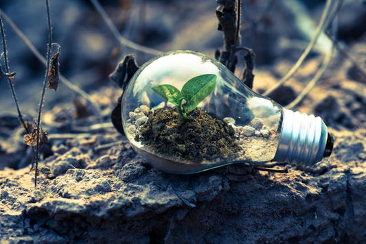 Saving soil and ocean health now and for the future