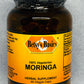 Betsy_s Basics Moringa