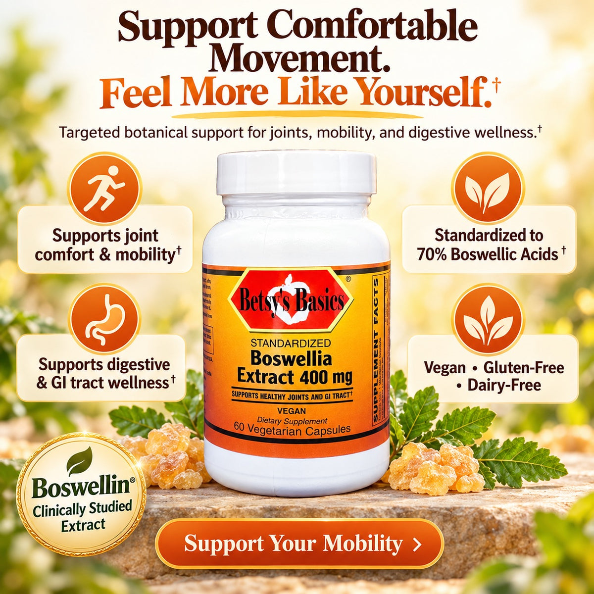 Betsys Basics Standardized Boswellia Extract 400 mg