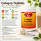 A bottle of Bet's Basics Collagen Peptides on the right, with a large informational graphic on the left detailing benefits, ingredients, and support claims. The bottle is orange and white, set against a background of creamy beige liquid and green leaves.