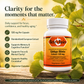 a bottle of Betsys Basics Ginkgo Biloba Extract 120 mg on a background with ginkgo leaves and key selling points