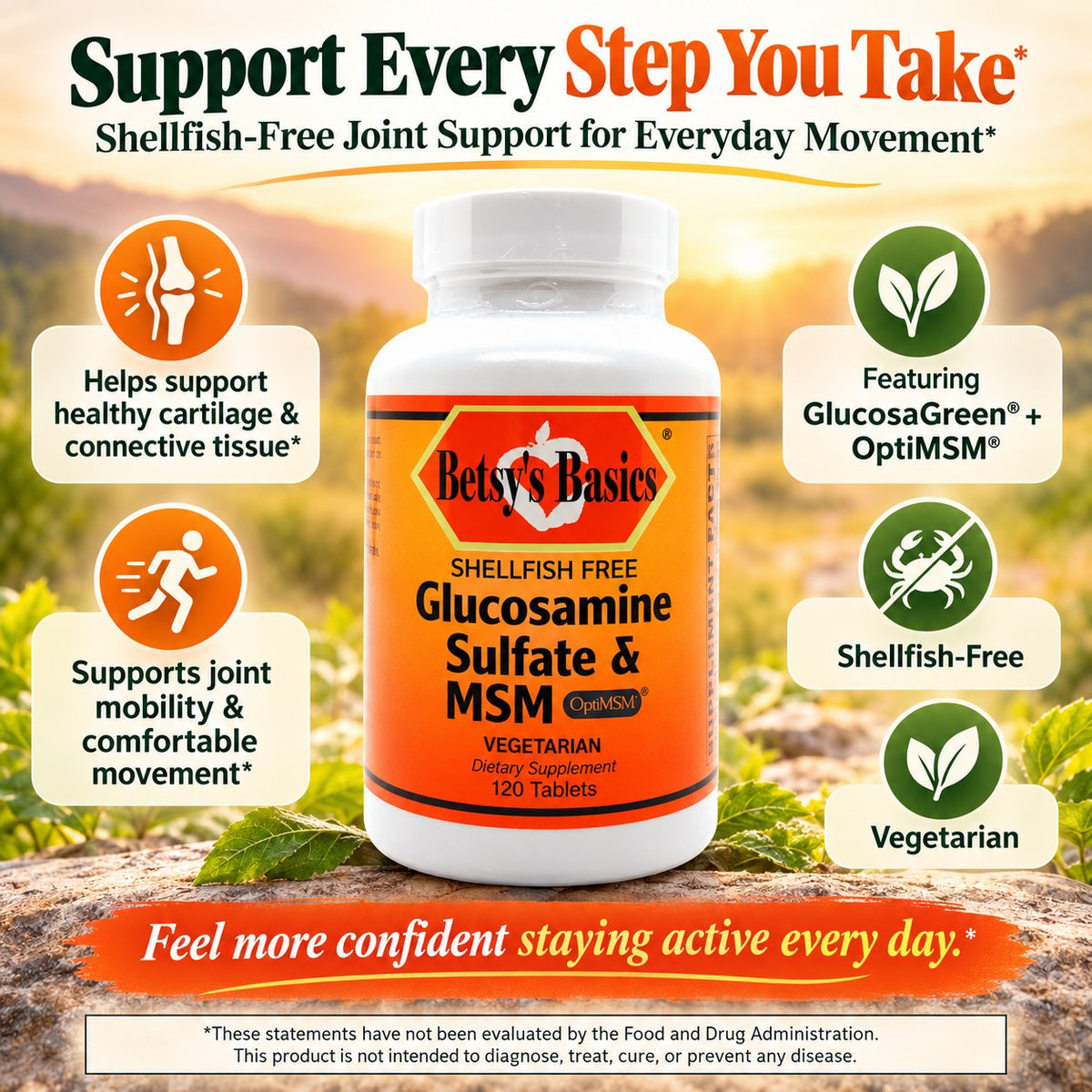 Betsy_s Basics Glucosamine Sulfate and MSM Shellfish Free
