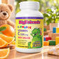 BIG FRIENDS CHEWABLE VITAMIN C 250 MG TANGY ORANGE 90 CHEW TAB BY NATURAL FACTORS 