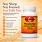 A white bottle of Betsy's Basics Phosphatidyl Serine Complex 500 mg dietary supplement on a warm orange and beige background with text highlighting brain support benefits.