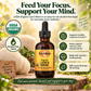 supplement bottle on a background of yellow sunshine, green leaves, and lion's mane musroom with key selling points