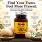 Bottle of Betsys Basics Organic Lions Mane on a background with lions mane mushrooms